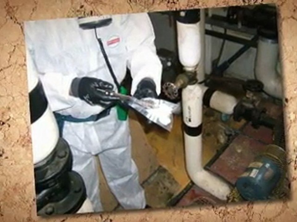 Grants for Asbestos Removal Oakland