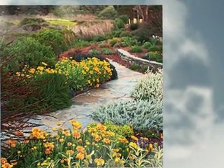 Landscape Design Scottsdale (480)420-9040