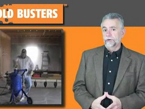 Soda blasting mold removal