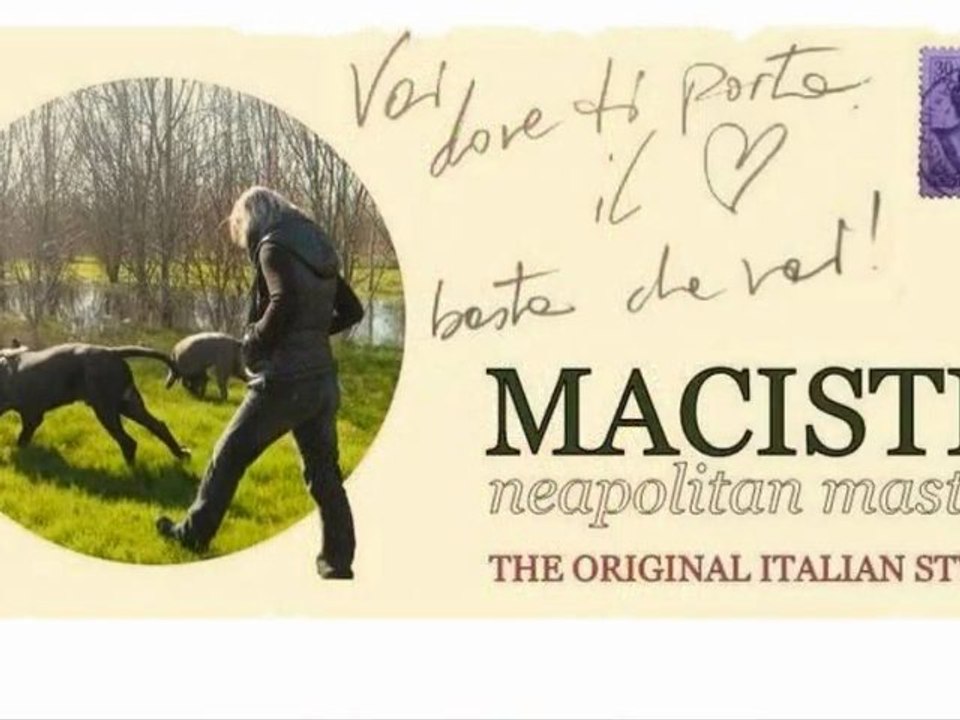 cane corso e mastino napoletano : vai dove ti porta il cuore