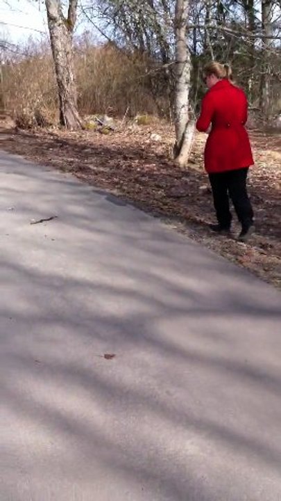 Snakes on a road