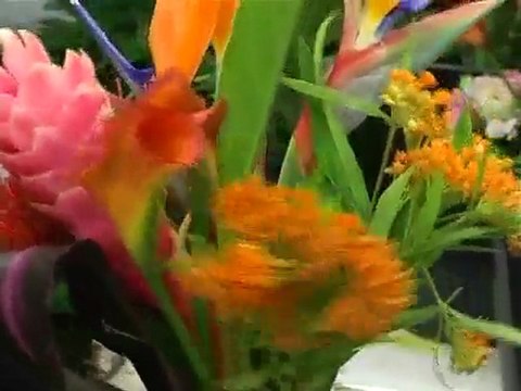 Composition d'un Bouquet Nord-Sud avec les ateliers d'Aquarelle