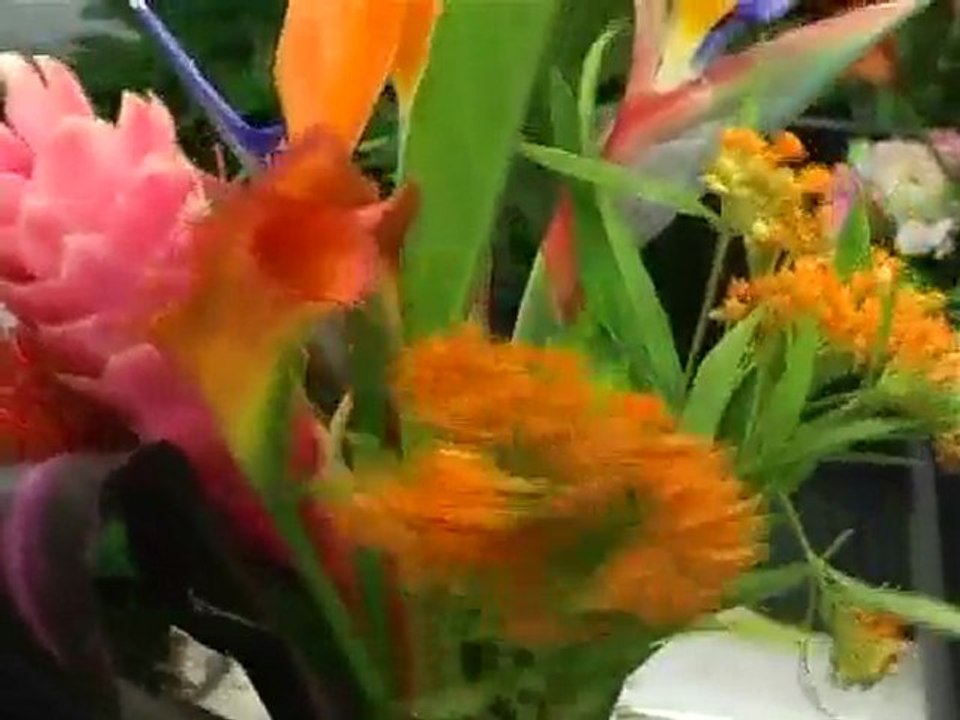 Composition d'un Bouquet Nord-Sud avec les ateliers d'Aquarelle