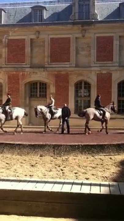 Répétition équestre à Versailles avec Bartabas...