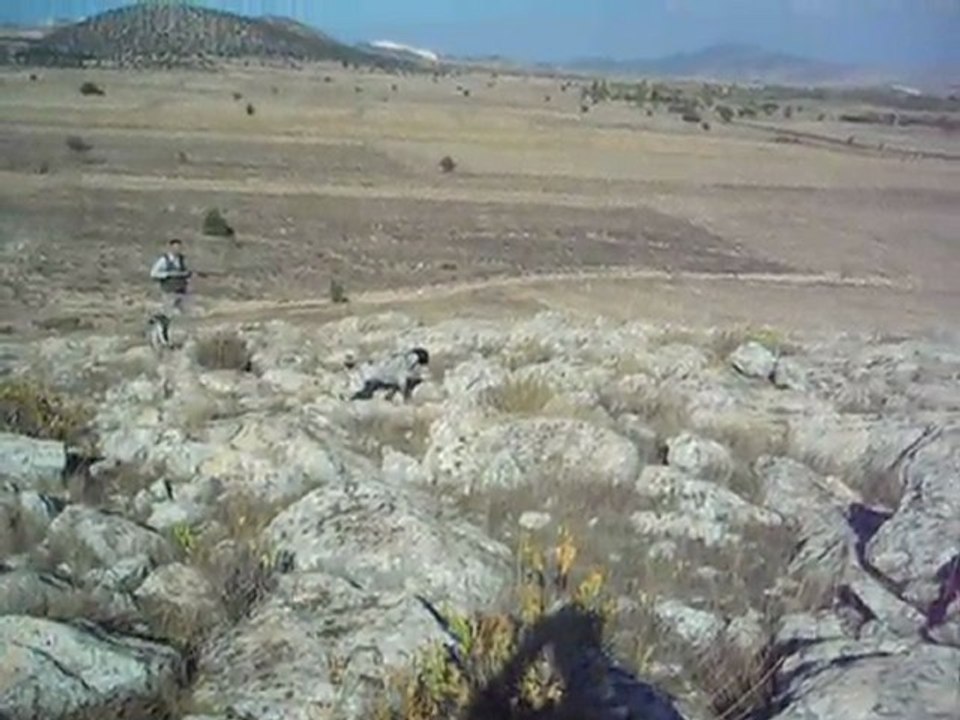 çaki kekelik ferması