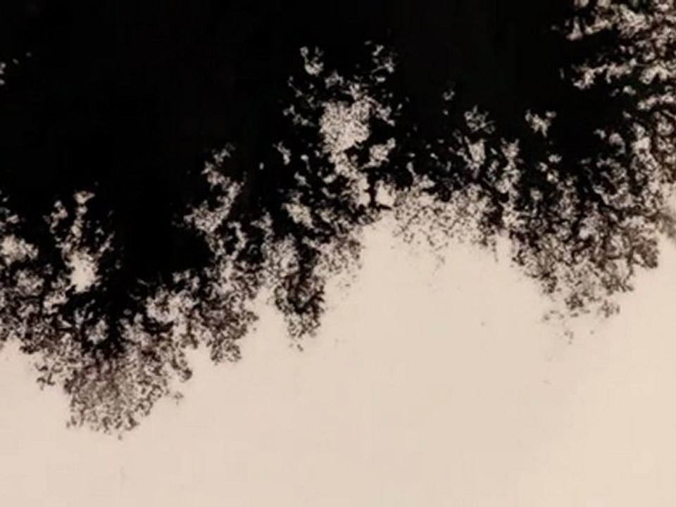 Solidarités International et BDDP Unlimited veulent faire couler de l'encre