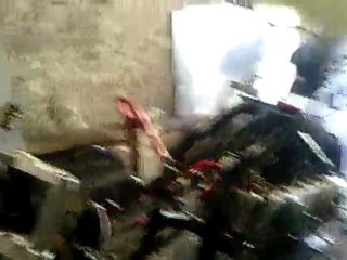 redémarrage après 8 mois de calme