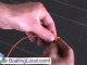 Tying a Double Surgeon's Loop Knot
