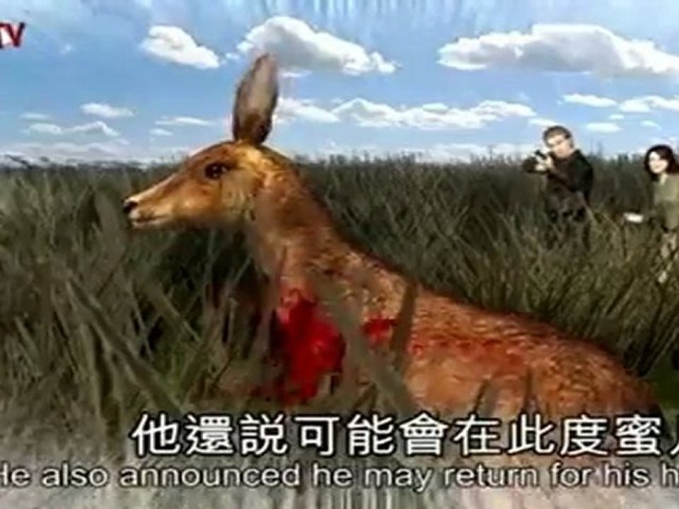 Exklusiv: Animierte Flitterwochen