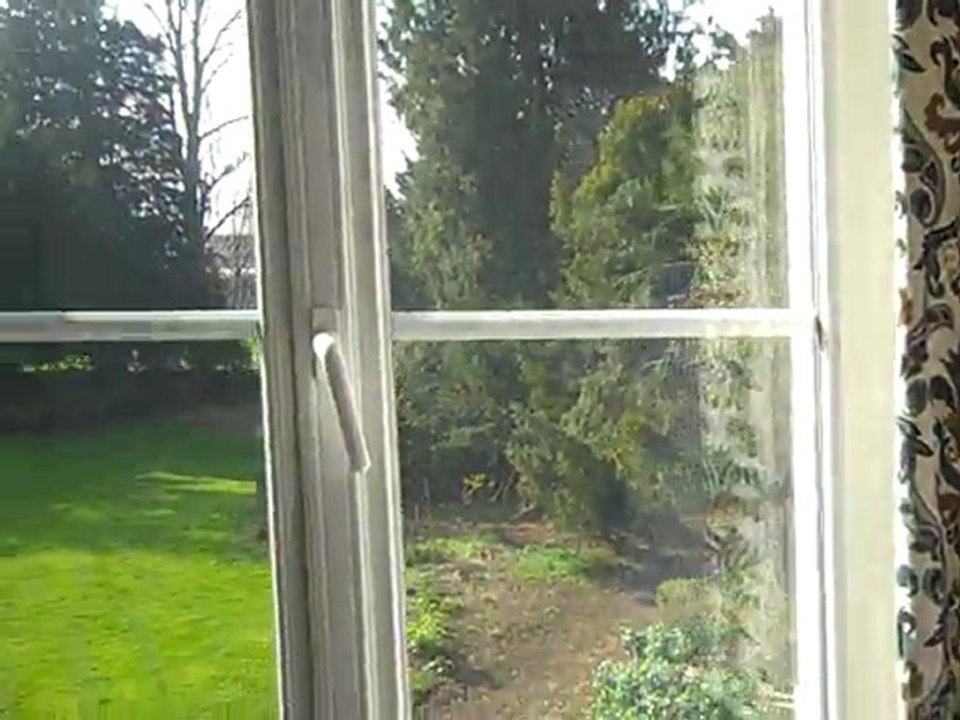 Toilette + 2ème chambre du premier