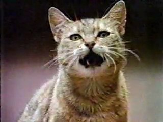 Meow Mix (famous cats)