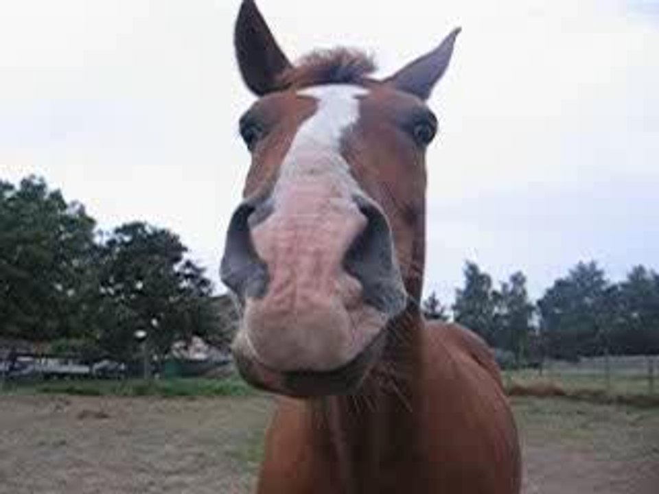 Tu m'le donne ce bout de pain !?!