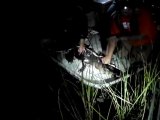 Cocodrilos ayudan a científicos a preservar pantanos de Florida