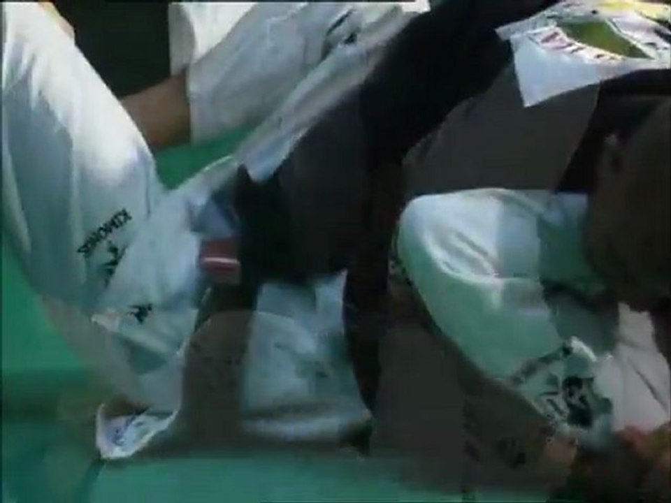 Jiu jitsu bresilien demonstration techniques