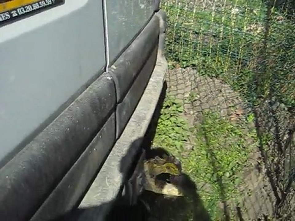 utilitaire renault master