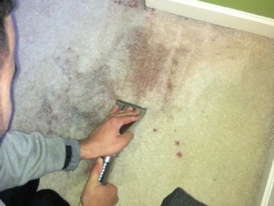 Carpet Cleaners, Upholstery Cleaning | AAA Miracle Carpet Cleaning