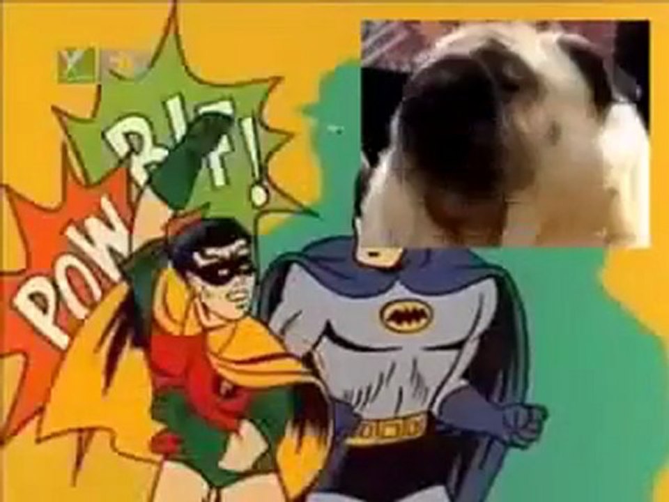 Chien & Batman