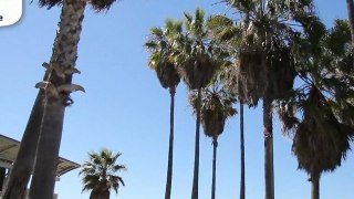 EPISODE 2 : A la rencontre de Greyson Chance à Los Angeles