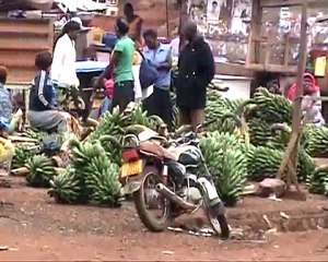 The Elsevier Foundation Innovative Libraries