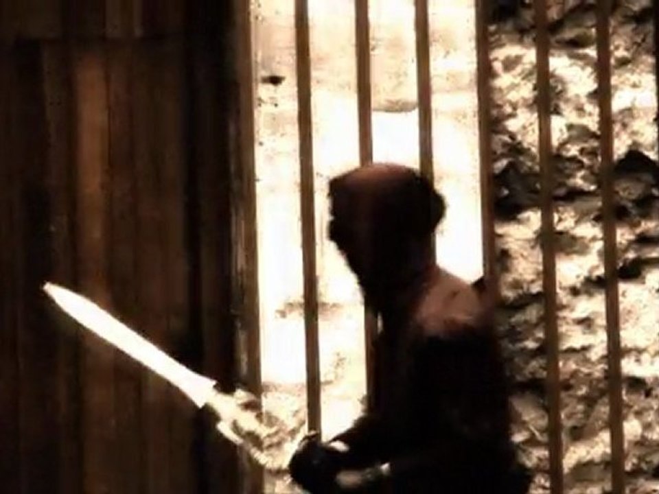 Shadowblade - Scène d'intro