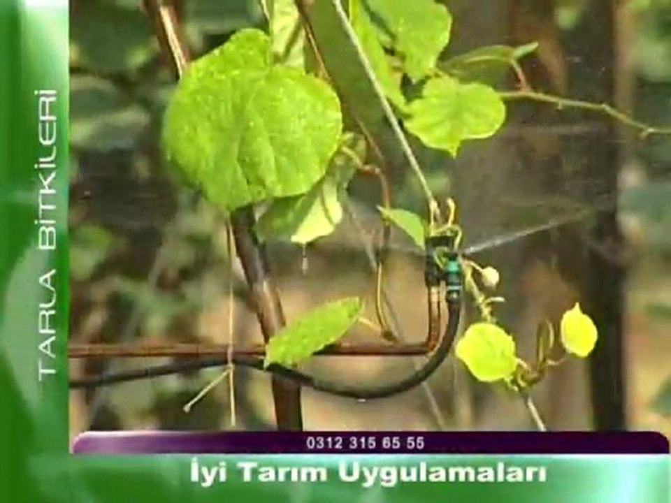 iyi tarim uygulamalari