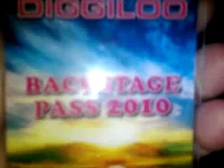 Lite bus & Charlie vill gå på Diggiloo!