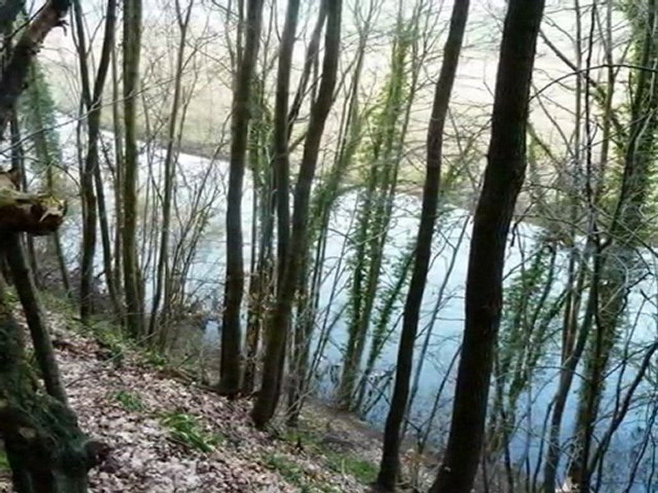 année 2011 - mois de février - nº 10