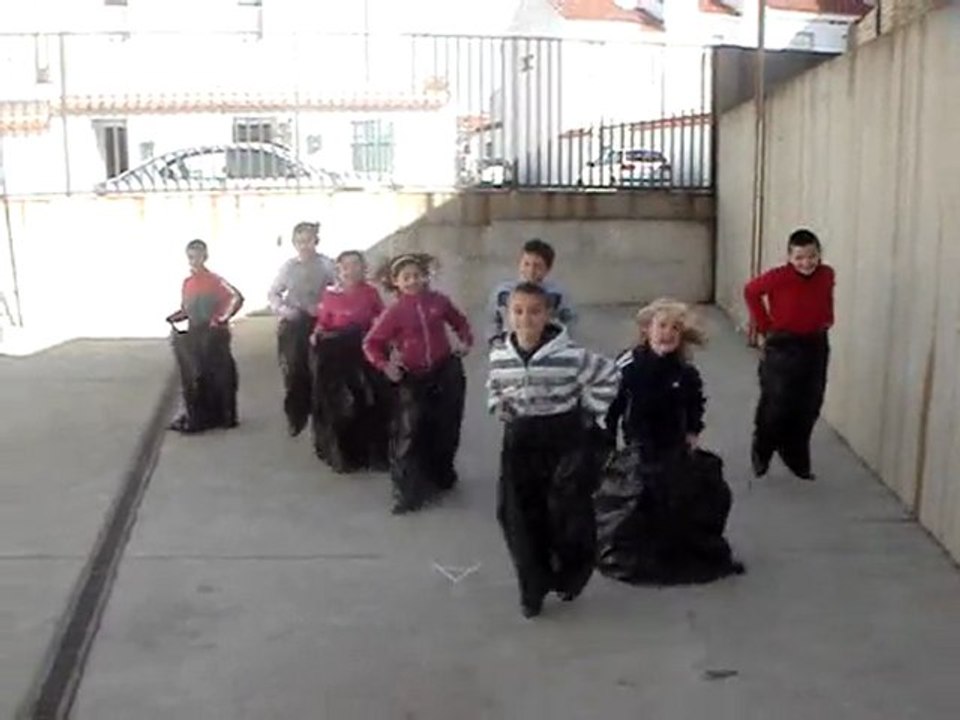 CARRERA SACOS