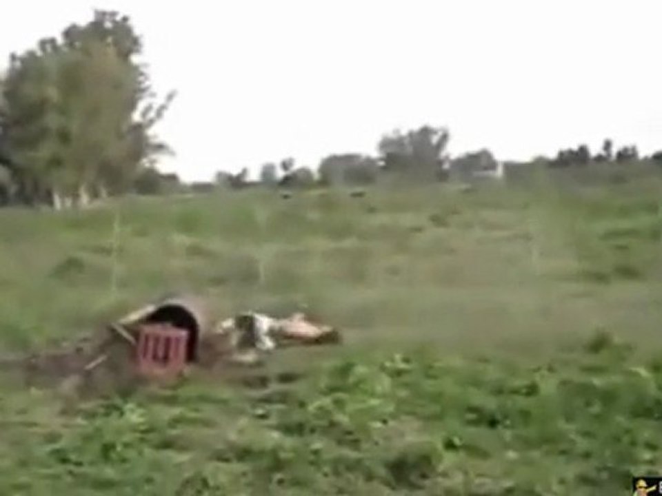 Quad FACEPLANT