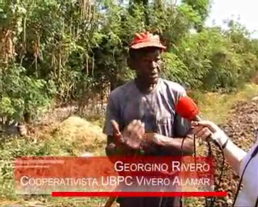 Agricultura urbana - Orgánica, sostenible y con apoyo científico (Parte 3)