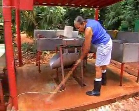 Agricultura urbana - ¿Cómo surge? (Parte 1)