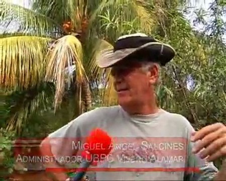 Agricultura urbana - Diversificación de cultivos (Parte 2)