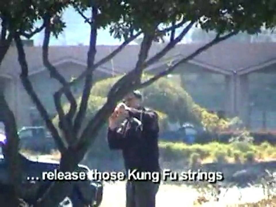 Kung Fu Kiting