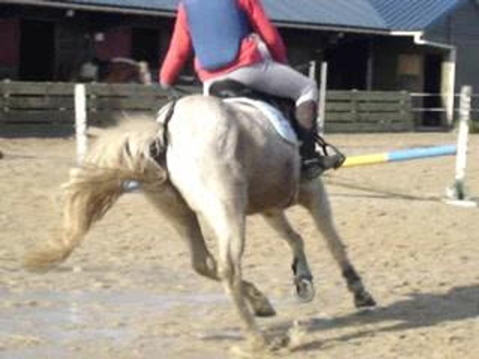 Hamalh & Sylvia, Ecuries du bout du monde