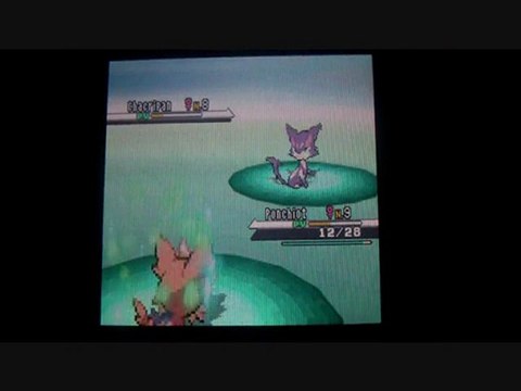 W.T Pokemon Blanc / 03 : L'eau de Reve