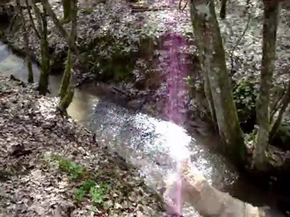 FORET du TEMPLE  02 04 2011