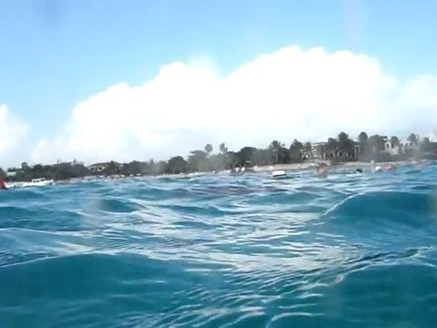 Plongée avec les tortues à Akumal au Mexique