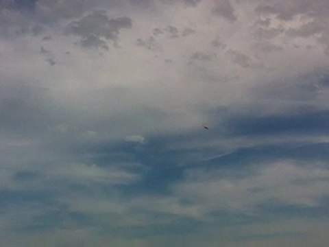 Yac 55M Marmande 0204/2011