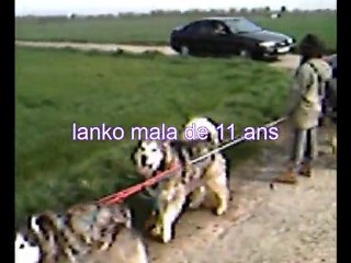 entrainement 2 avril 2011