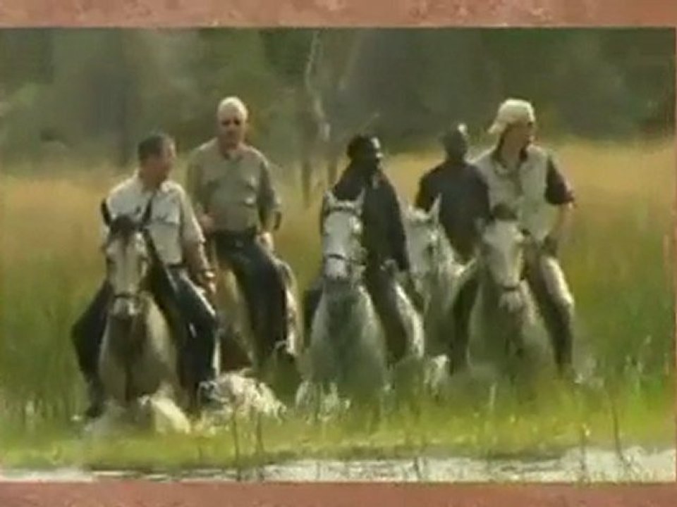 okavango : les chevaux du delta