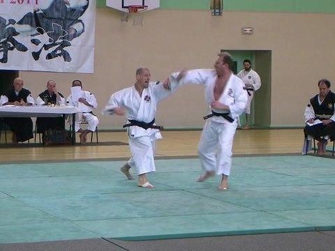Coupe de France de Shorinji Kempo 2011, Embu d'Alain et Cyrille