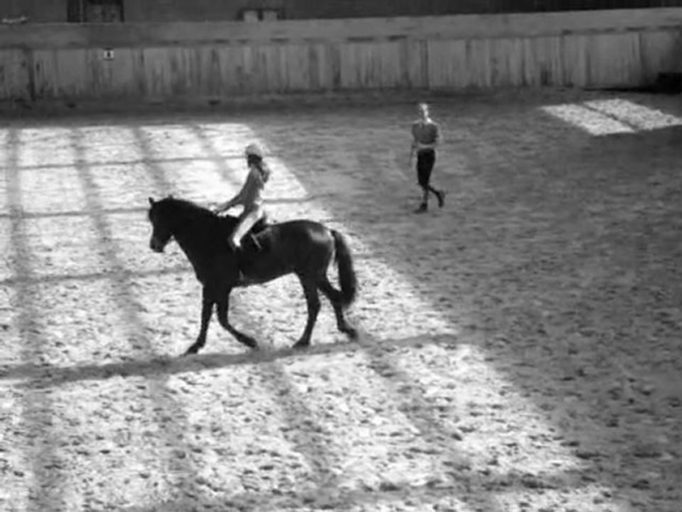 L'erreur est Humaine , La perfection est Equine. ♥.