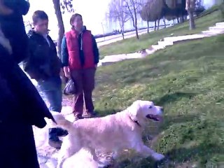 Mathilda , rusrt , reyna ve ıce