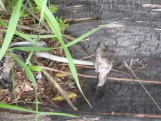 podróż do przeszłości 3