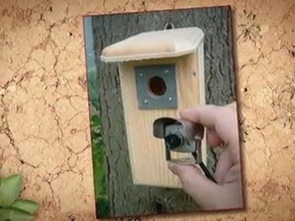 eCommerce Positioning | ecommerce positioning