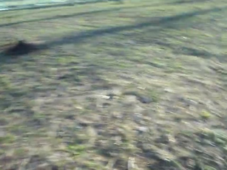 Juju qui fait sauter hawaii