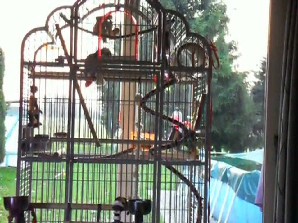 ta mangé des bonbons!!!!!