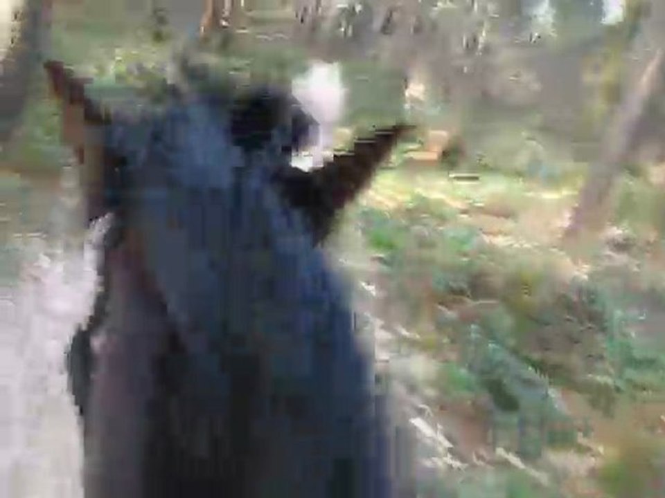 ulys galop bois de hal 24 mars