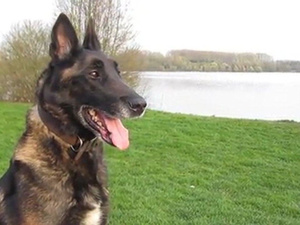 Essai vidéo avec caméra HD