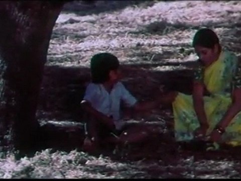 Chitchor - Geeta Ki Shaadi - Amol Palekar & Zarina Wahab - Classic Bollywood Movie Scenes